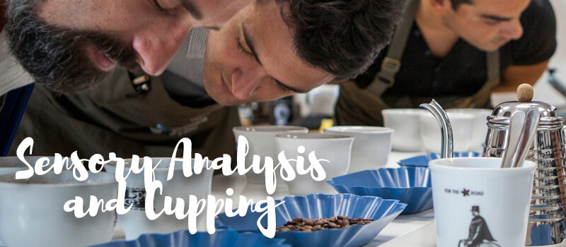 Sensory Analysis and Cupping Sensory Analysis and Cupping